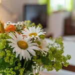 Im Oberdorf Apartmán Achern