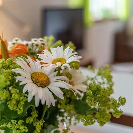 アパート Im Oberdorf